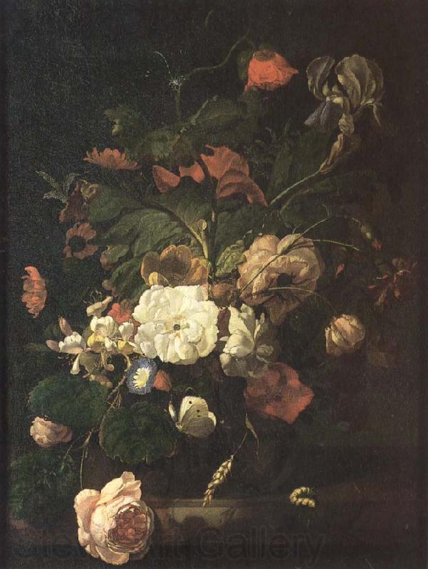 Rachel Ruysch Flowers in a vase Spain oil painting art
